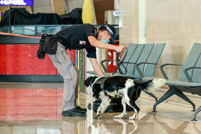 Sniffer Detection Duty Performed at Terminal